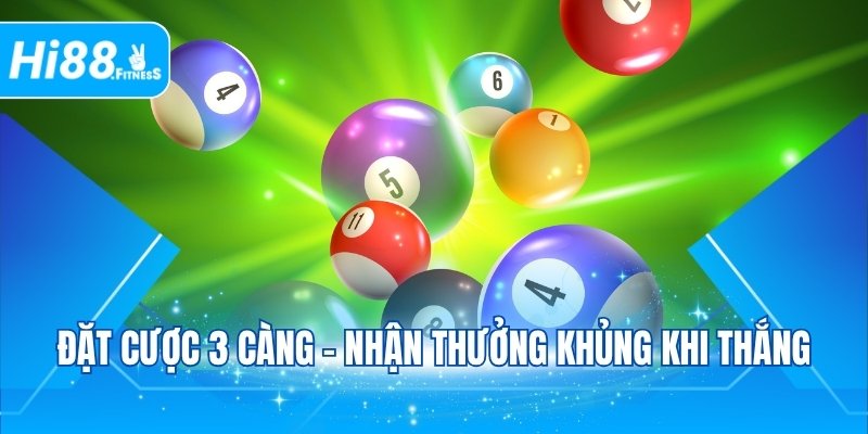 Đặt cược 3 càng - Nhận thưởng khủng khi thắng